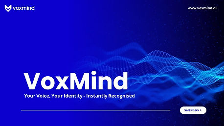 VoxMind Slide (2).JPG
