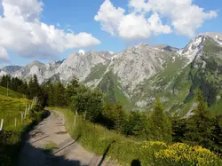 bellavarde