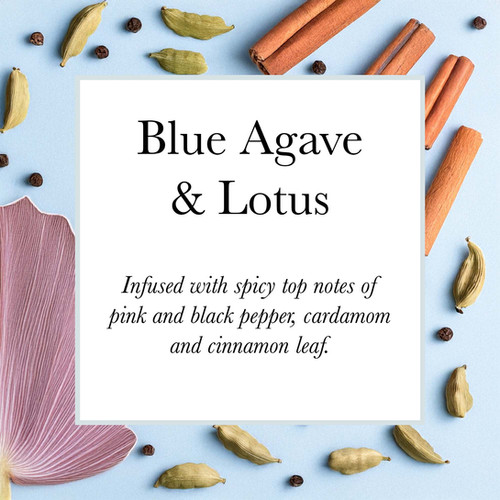 Olivia Blake Blue Agave & Lotus EDC Perfume 100ml | Pecksniff's