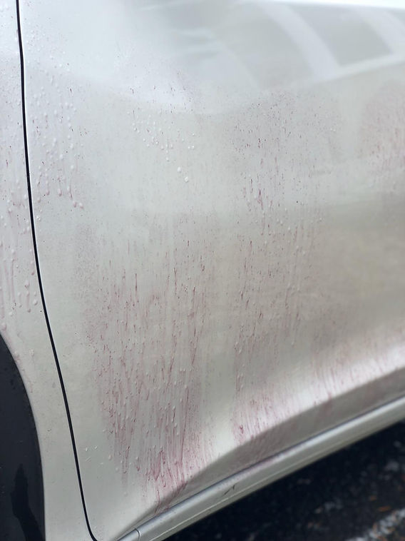 Paint contamination and decontamination