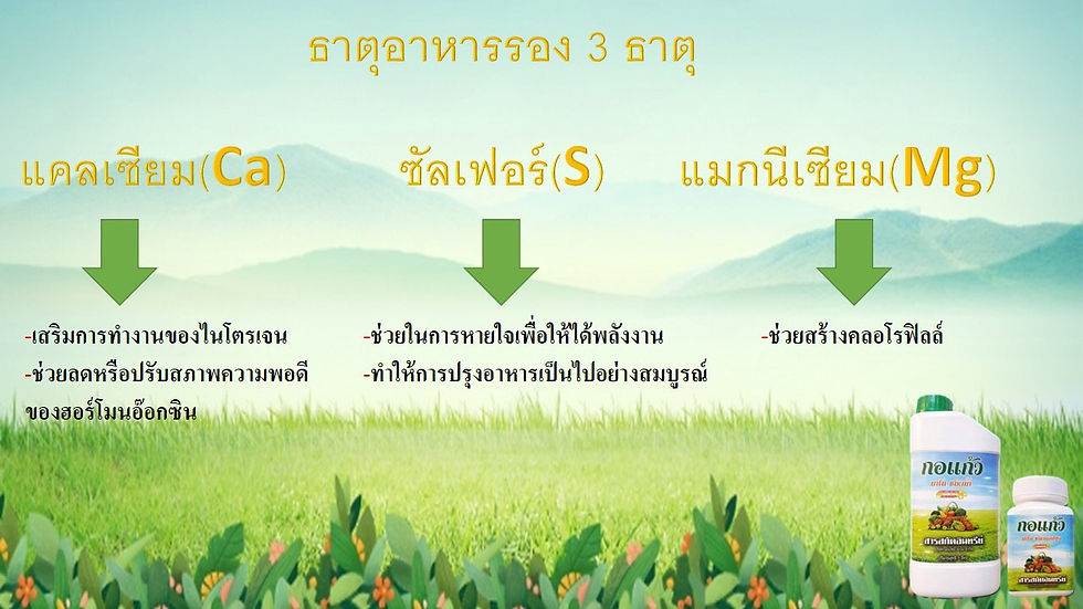 S__47063094.jpg