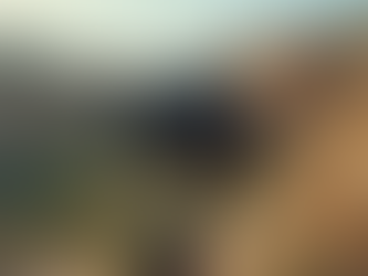 Find and Buy the DJI RS4 Pro Gimbal in Nairobi