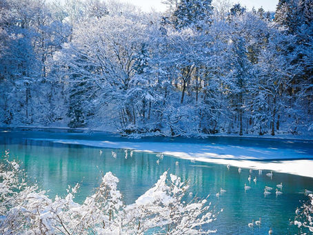 ❄*Icy-noseki ~ winterscapes and things to do when it's cold*❄