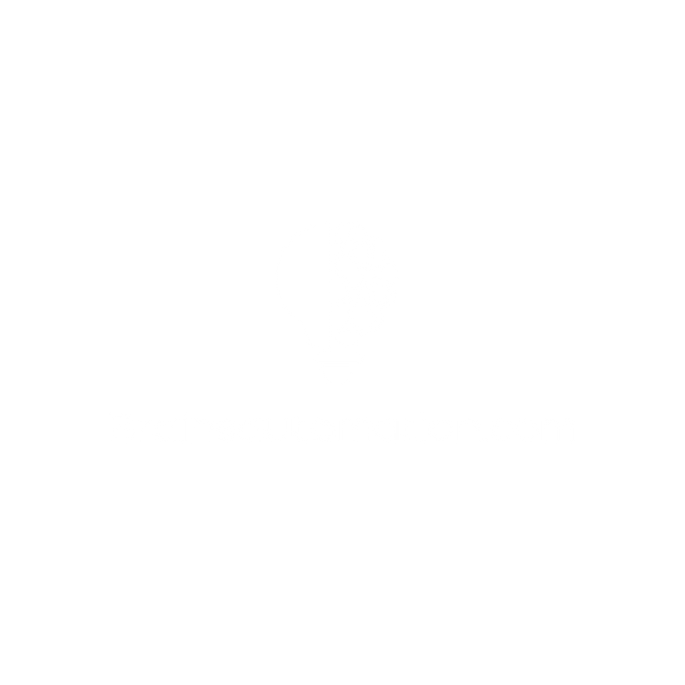 Brainsautoamtion.com logo white.png