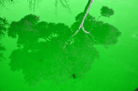 février & mars 2.JPG