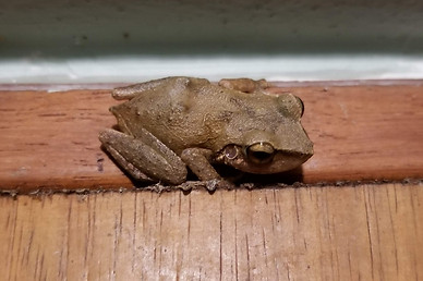 20190316_222805.jpg