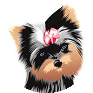 Beauty Pawlor in Coral Springs, Florida