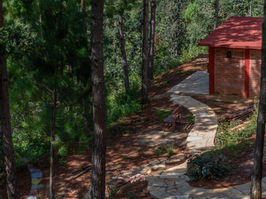 One of our darkness retreat cabins, in the forest