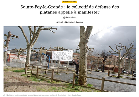 Sud-Ouest en ligne