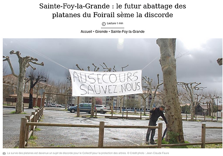 Sud-Ouest en ligne