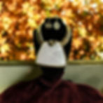 Photoroom_20240822_184518.JPG