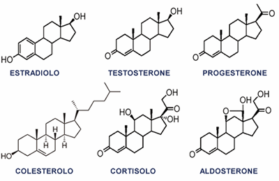 ormoni-steroidei