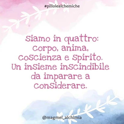 17949719473905798.webp