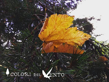 settembre2