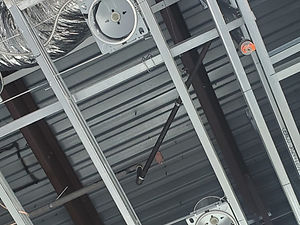 Resized_20250609_123235_edited.jpg