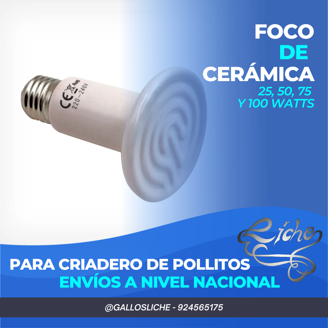 Foco de cerámica