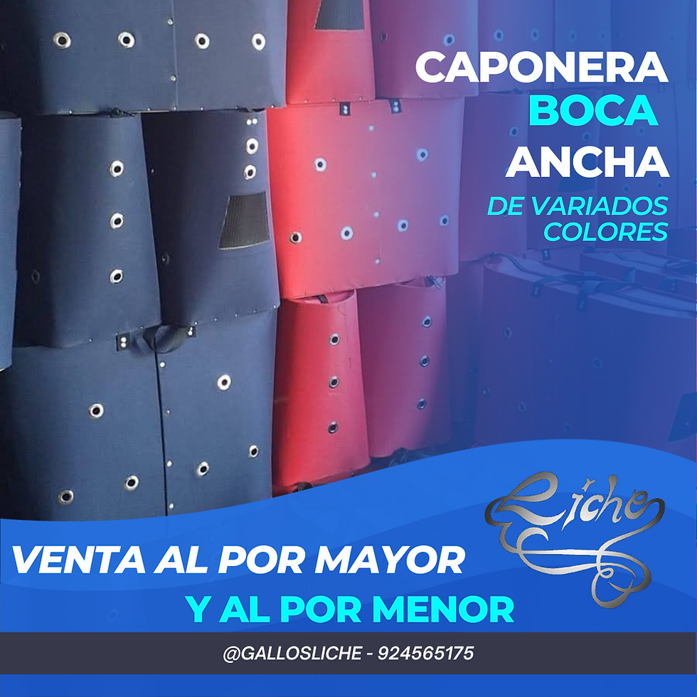 Miniatura: Caponera boca ancha