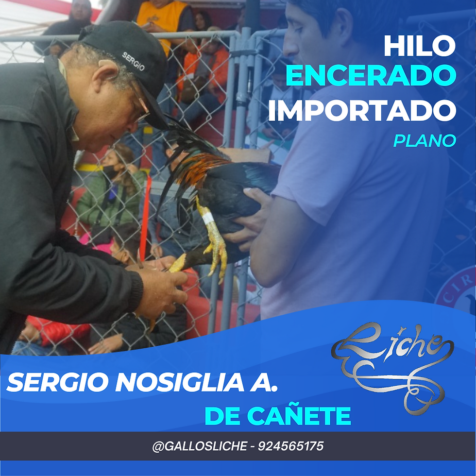 Miniatura: Hilo encerado plano