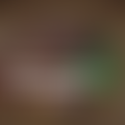 Freilandschwein Römerhof Bühl, Fleisch ab Hof