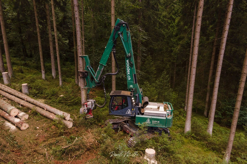 Harvester | Woodex AG | Forstunternehmen | Bern | Schweiz