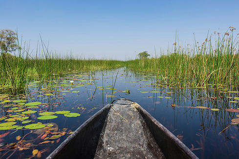 uncovering-wild-mobile-safari-botswana-okavango-svenja-stumpe-responsible-safaris-5-2.jpg