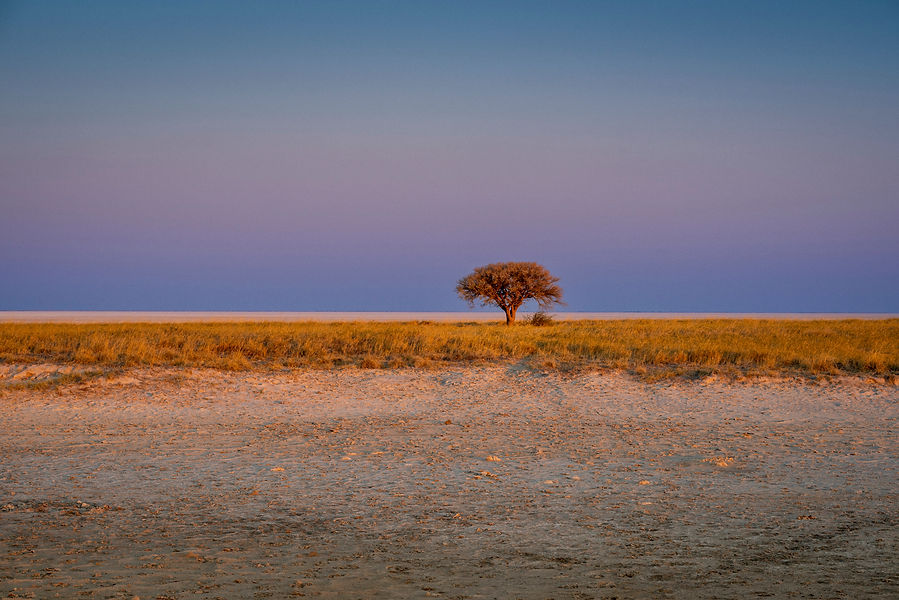 uncovering-wild-mobile-safari-botswana-okavango-svenja-stumpe-responsible-safaris-10-2.jpg