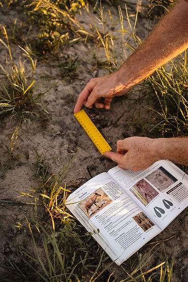 uncovering-wild-mobile-safari-botswana-okavango-svenja-stumpe-responsible-safaris-1-11.jpg