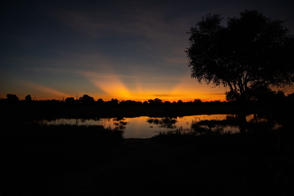 uncovering-wild-mobile-safari-botswana-okavango-svenja-stumpe-responsible-safaris-1-54.jpg