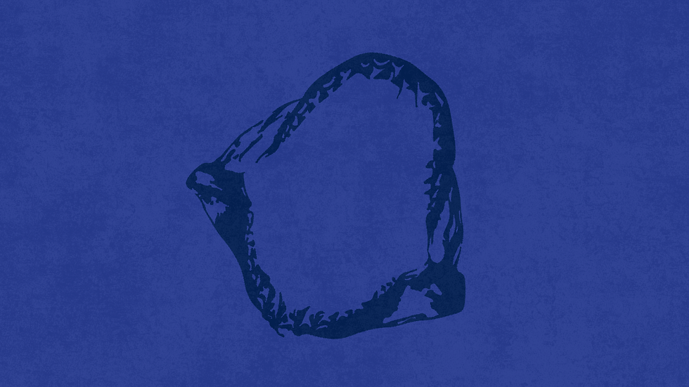 Shark Icon