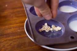 3ce9cffc41a84bfcd7dcc37575318782