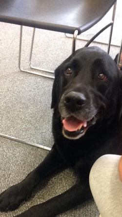 13177728_10201717754741561_888878591840814954_n (1)