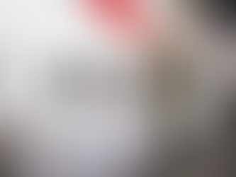 Decola pela 1ª vez um avião do modelo Boeing 777-200ER com a tecnologia que o faz ter a eficiência do tubarão