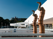 Novembro no MON: arte, luz e movimento entre feriados