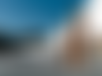 Novembro no MON: arte, luz e movimento entre feriados