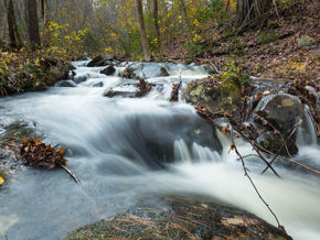 Fight Back Against Federal Efforts to Limit Clean Water Protections