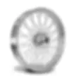 CALI TRADITIONAL 60 SPOKES