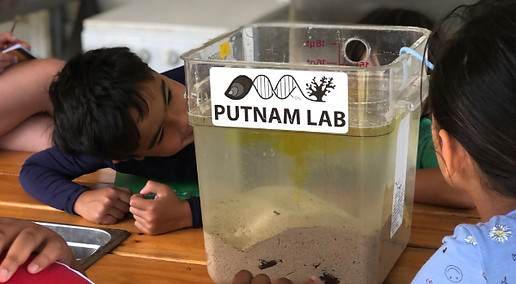 Observation-scientifique-en-classe-enfant.jpg