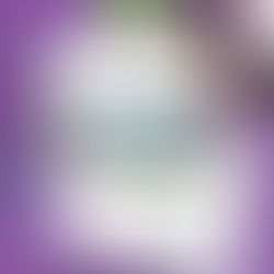 Be of Good Cheer: July 31st- August 6th