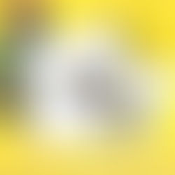 Preparing the Way for the Lord: Sept. 19th-25th