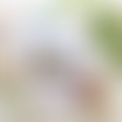 The Lord Labors With Us (Come Follow Me Lesson for Kids: April 8-14)