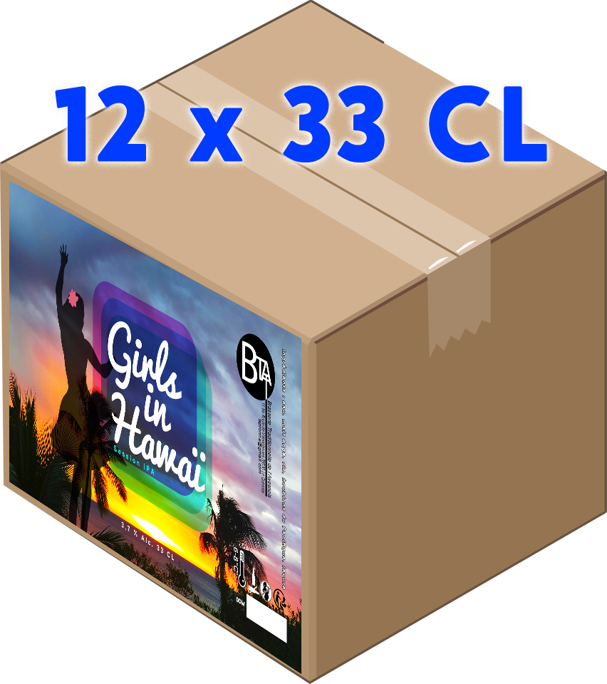 Carton - Girls in Hawaï 33 CL x 12