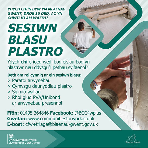 Plastering Welsh.jpg