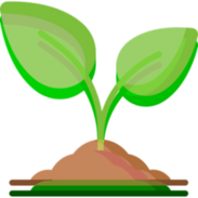 plant (2).png