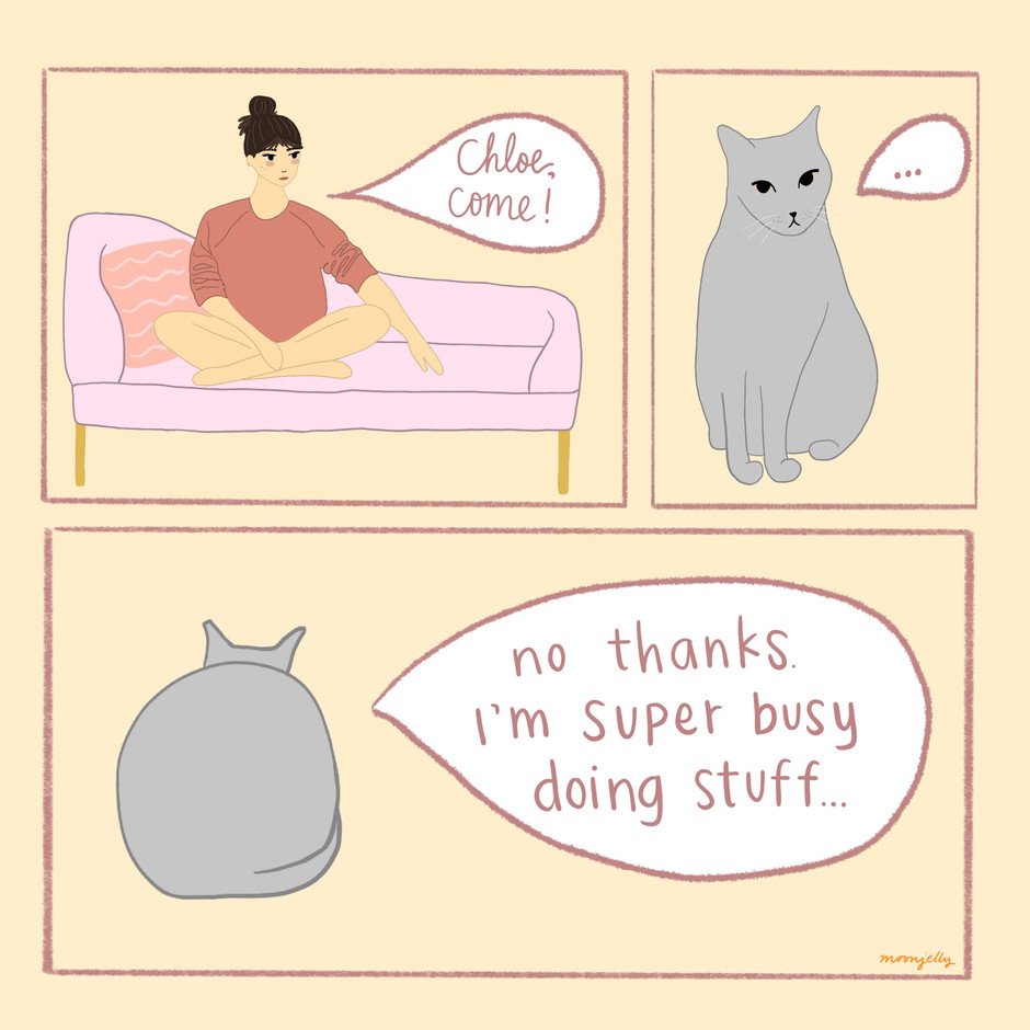 Sorry, Super Busy