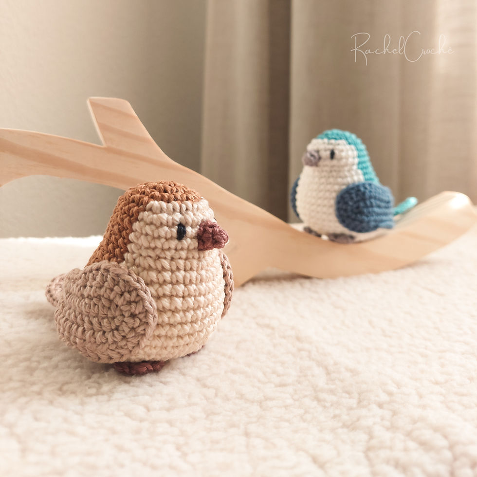 Thumbnail: (English) Pattern - Birds