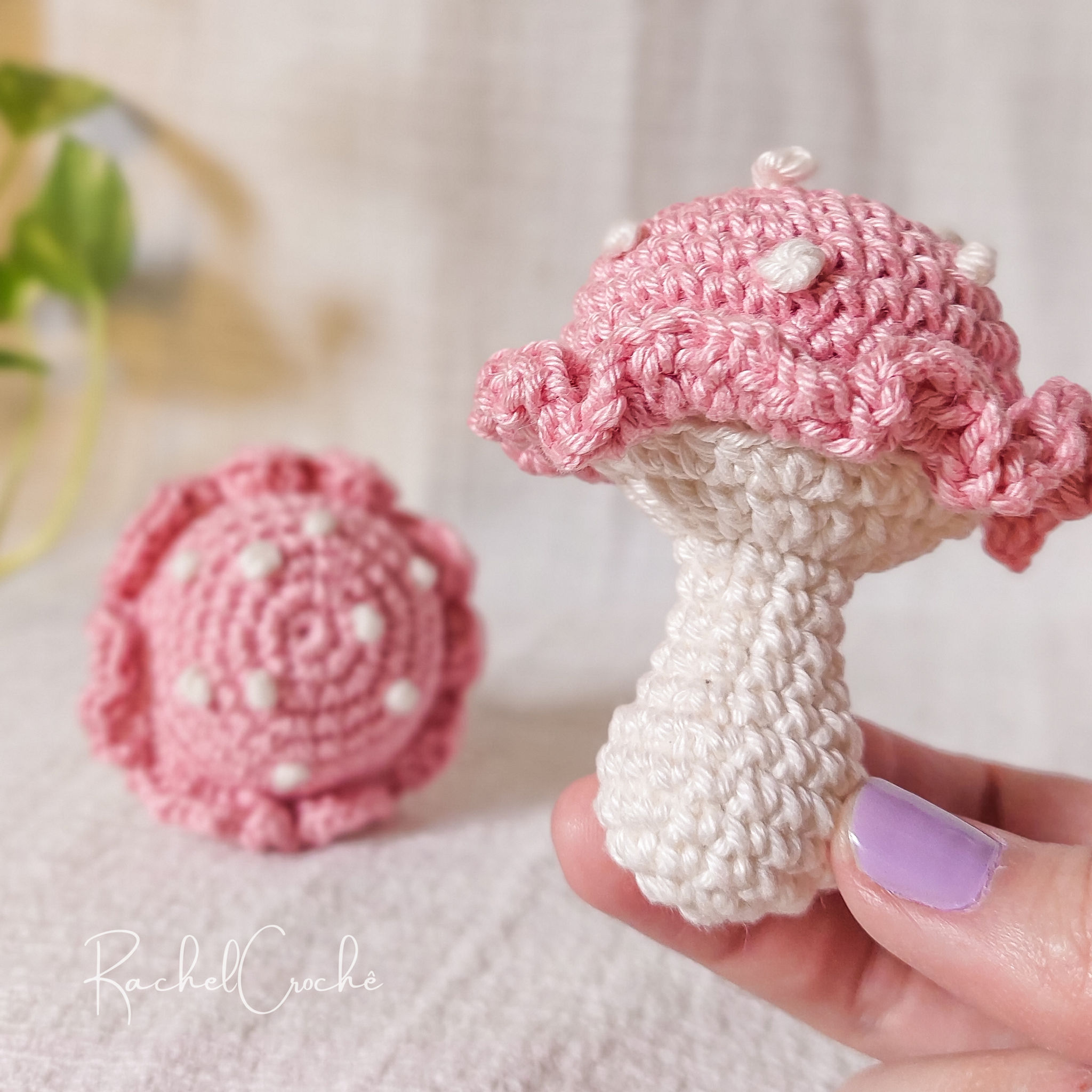 (Portuguese) PDF - Mushrooms