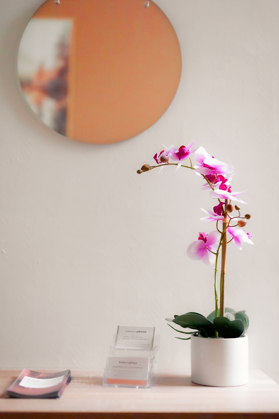 Photo d'une orchidée rose dans la salle d'attente du cabinet d'Audry Lebihan