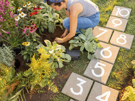 Creating a Sensory Garden