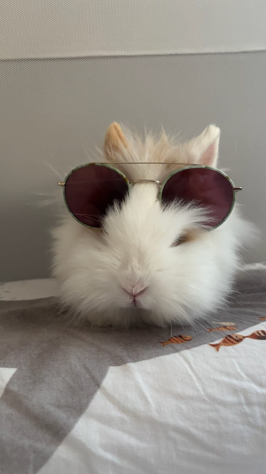 516772760_31204429799144170_2033985395960607986_n