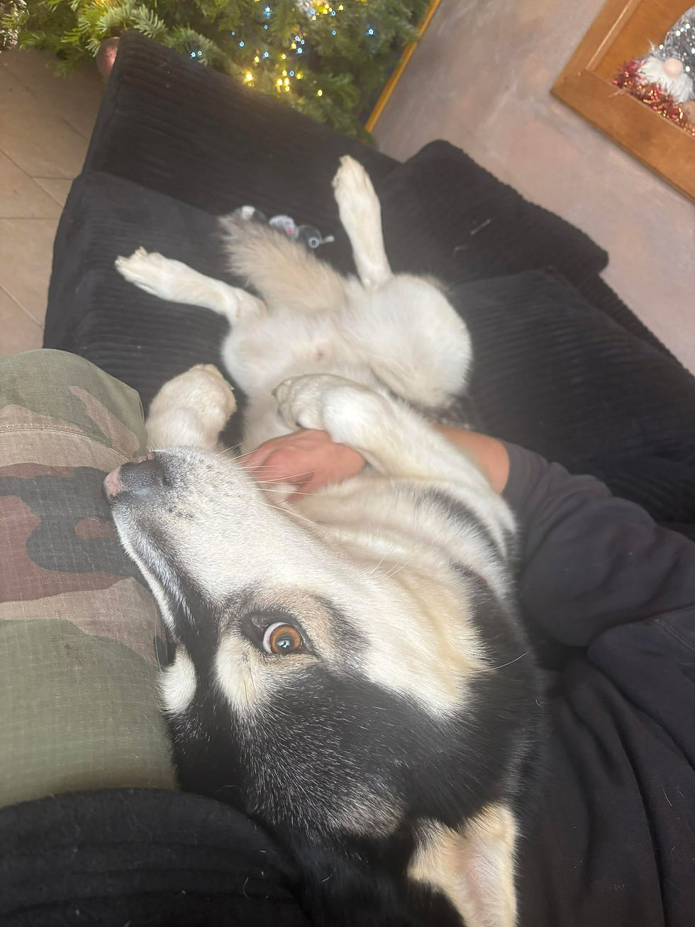 600805343_1588854902360302_3212429916152834630_n